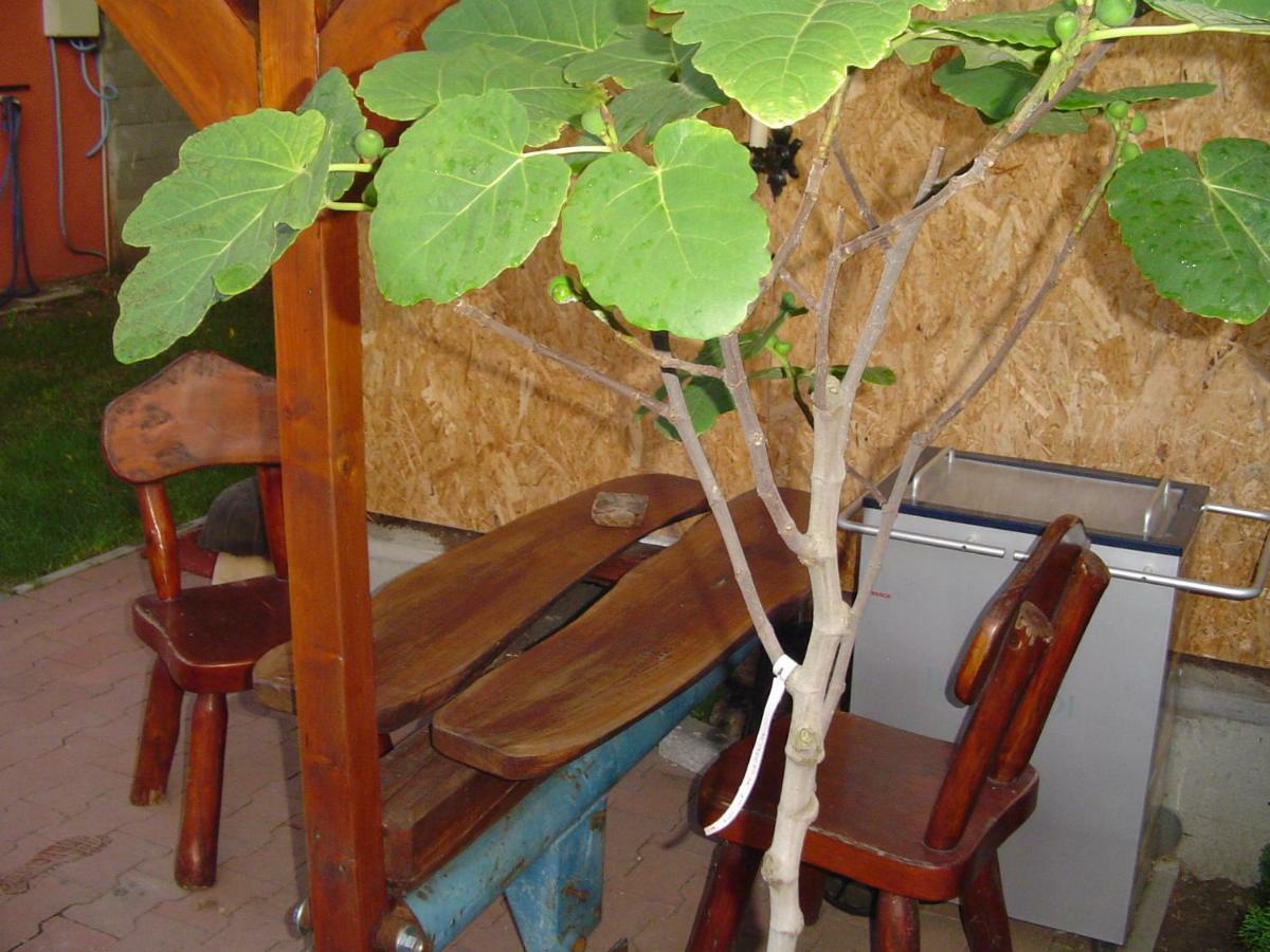 Karavan Sturovo Exterior foto